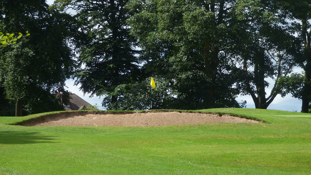 Swan killed on golf course in "senseless" attack
